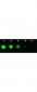 Anti-AKT3 (MOUSE) Fluorescein Conjugated Monoclonal Antibody